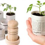paper_pots