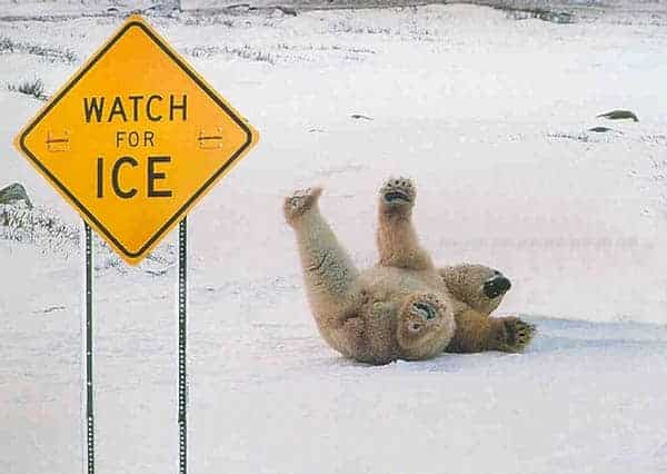 Photo: funny-games.iz. funny biz games. Photo: funny-games.iz.