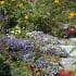 11_WG_Plants_Sep07