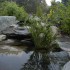 13_WG_Water_Plant_0043