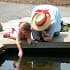 4_WG_fish_pond