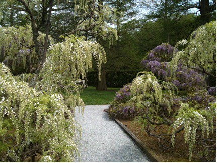 Landscape Design: Repeating Garden Elements - Julie Moir Messervy ...