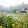 Vermont Wetlands Tour with Julie Moir Messervy & Susan Teare